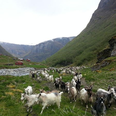 Undredal Gjestehus Hotel Kamer foto