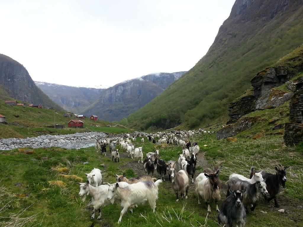 Undredal Gjestehus Hotel Kamer foto